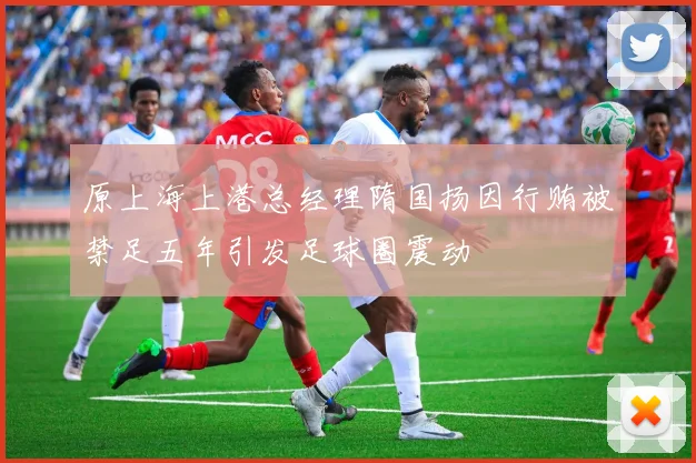 原上海上港总经理隋国扬因行贿被禁足五年引发足球圈震动